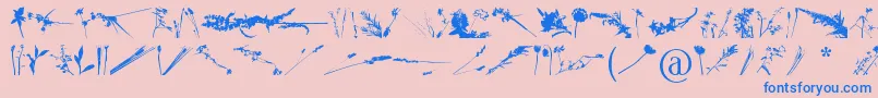 Шрифт FloralFlush – синие шрифты на розовом фоне