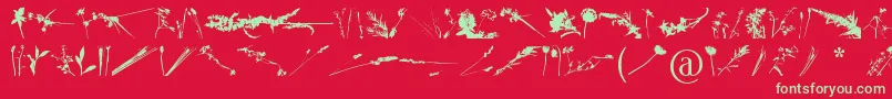 FloralFlush Font – Green Fonts on Red Background