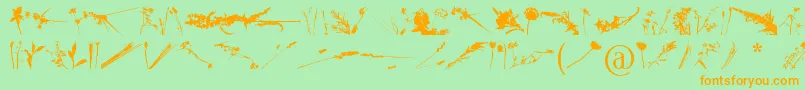 Шрифт FloralFlush – оранжевые шрифты на зелёном фоне