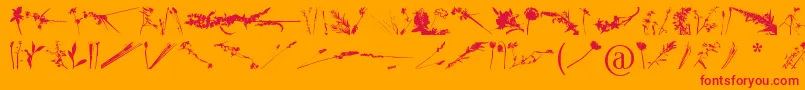 FloralFlush Font – Red Fonts on Orange Background