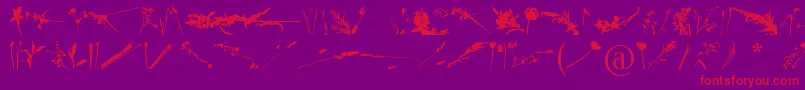 FloralFlush Font – Red Fonts on Purple Background
