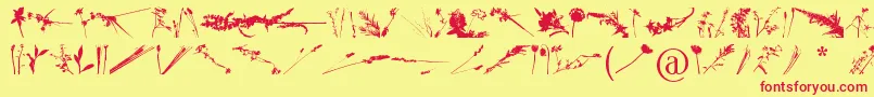 FloralFlush Font – Red Fonts on Yellow Background