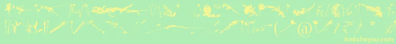 Lisätietoja FloralFlush-fontista FloralFlush-fontti – keltaiset fontit vihreällä taustalla