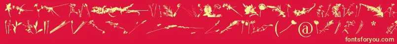 FloralFlush Font – Yellow Fonts on Red Background