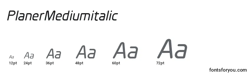Размеры шрифта PlanerMediumitalic