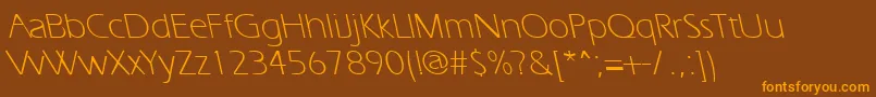 ErgoelightbsRegular Font – Orange Fonts on Brown Background