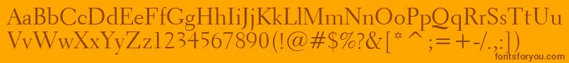Transitional521Bt Font – Brown Fonts on Orange Background