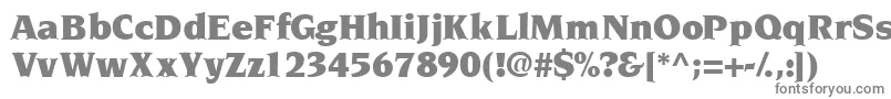 フォントTridentblackssk – 白い背景に灰色の文字