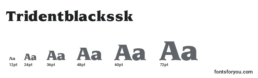 Размеры шрифта Tridentblackssk