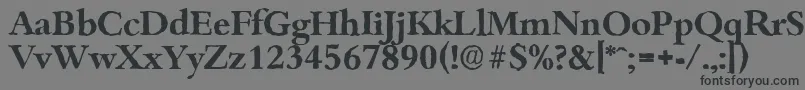 フォントBambergantiqueBold – 黒い文字の灰色の背景