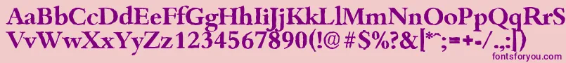 BambergantiqueBold Font – Purple Fonts on Pink Background