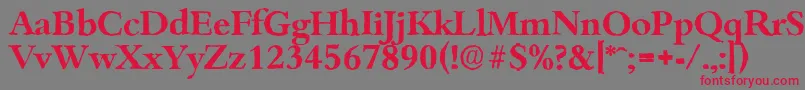 フォントBambergantiqueBold – 赤い文字の灰色の背景