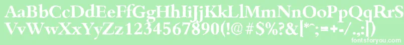 BambergantiqueBold Font – White Fonts on Green Background