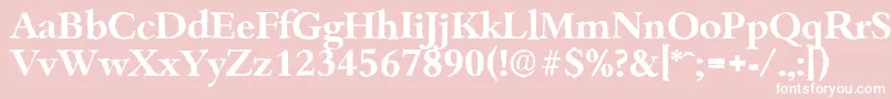 BambergantiqueBold Font – White Fonts on Pink Background