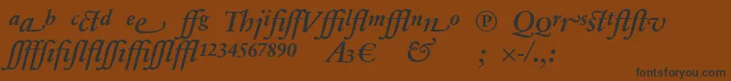 SabonnextLtDemiItalicAlternate Font – Black Fonts on Brown Background