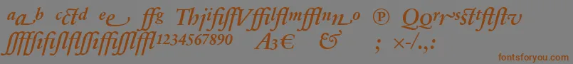 SabonnextLtDemiItalicAlternate Font – Brown Fonts on Gray Background