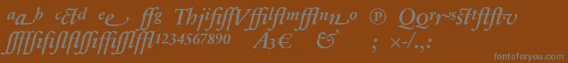 フォントSabonnextLtDemiItalicAlternate – 茶色の背景に灰色の文字