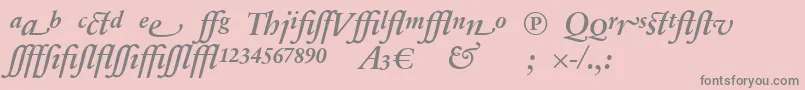 SabonnextLtDemiItalicAlternate Font – Gray Fonts on Pink Background