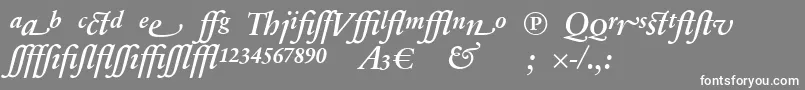 SabonnextLtDemiItalicAlternate-Schriftart – Weiße Schriften auf grauem Hintergrund