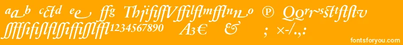 SabonnextLtDemiItalicAlternate Font – White Fonts on Orange Background