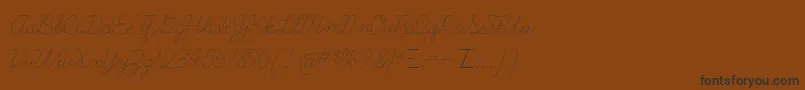 LearningcurvedashedTt Font – Black Fonts on Brown Background