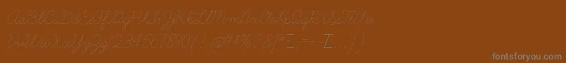 LearningcurvedashedTt Font – Gray Fonts on Brown Background