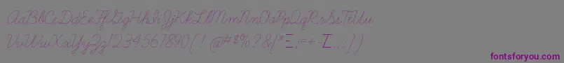 LearningcurvedashedTt-Schriftart – Violette Schriften auf grauem Hintergrund