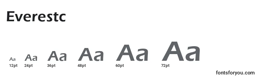 Размеры шрифта Everestc