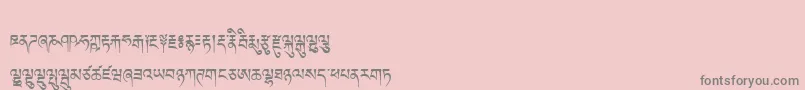 Tibetanmachineweb Font – Gray Fonts on Pink Background