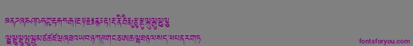 Tibetanmachineweb Font – Purple Fonts on Gray Background