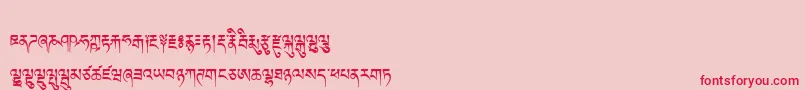 Police Tibetanmachineweb – polices rouges sur fond rose
