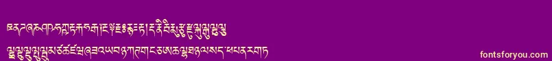 Tibetanmachineweb Font – Yellow Fonts on Purple Background
