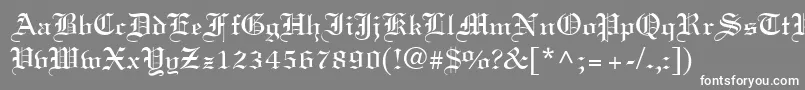 フォントLincolnn – 灰色の背景に白い文字