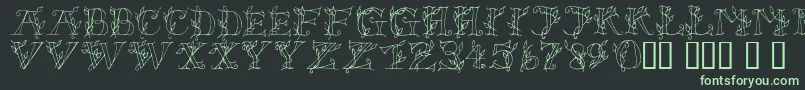 Lsleaves Font – Green Fonts on Black Background