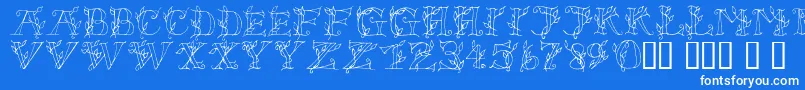 Lsleaves Font – White Fonts on Blue Background