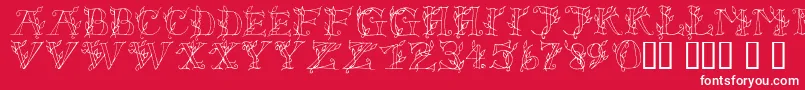 Lsleaves Font – White Fonts on Red Background