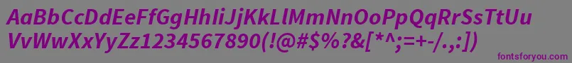 Шрифт SourcesansproBolditalic – фиолетовые шрифты на сером фоне