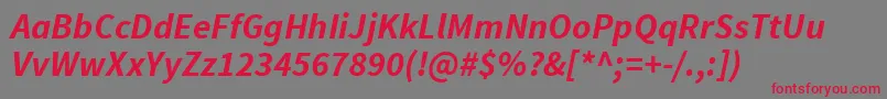 SourcesansproBolditalic Font – Red Fonts on Gray Background