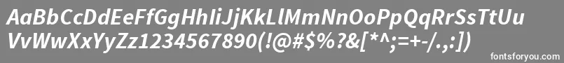 フォントSourcesansproBolditalic – 灰色の背景に白い文字