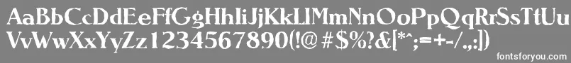 NevadaantiqueBold Font – White Fonts on Gray Background