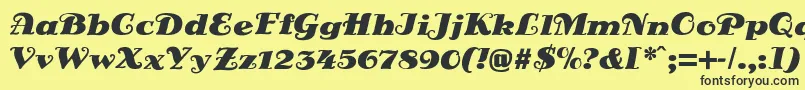 DsSienaBlack Font – Black Fonts on Yellow Background