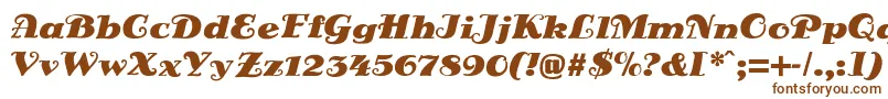 DsSienaBlack Font – Brown Fonts on White Background