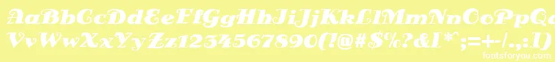 DsSienaBlack Font – White Fonts on Yellow Background