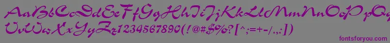 Chs Font – Purple Fonts on Gray Background