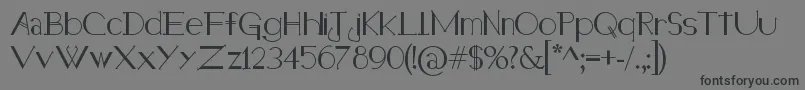 HolitterHalfimp Font – Black Fonts on Gray Background