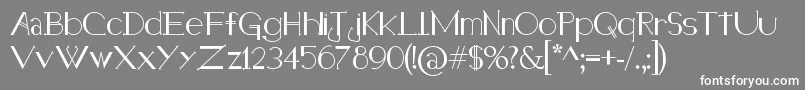 HolitterHalfimp Font – White Fonts on Gray Background