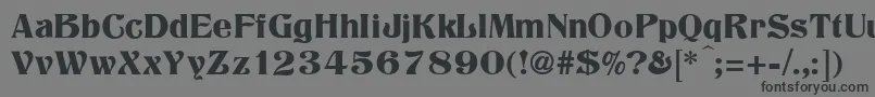 Czcionka TitaniaRegular – czarne czcionki na szarym tle