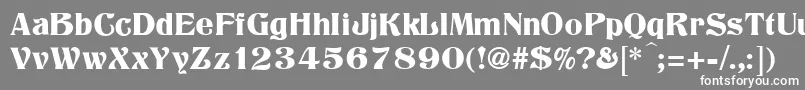 Czcionka TitaniaRegular – białe czcionki na szarym tle