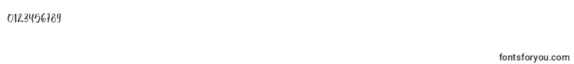 Firdaus Font – Fonts for Numbers and Digits