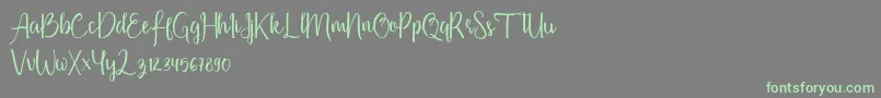 Firdaus Font – Green Fonts on Gray Background